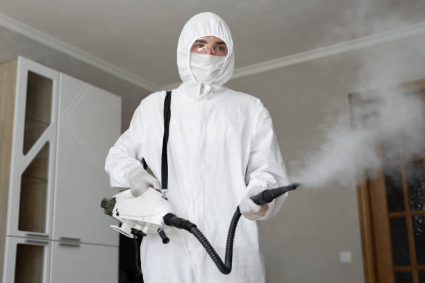 Professional Mold Removal in Gold River, CA